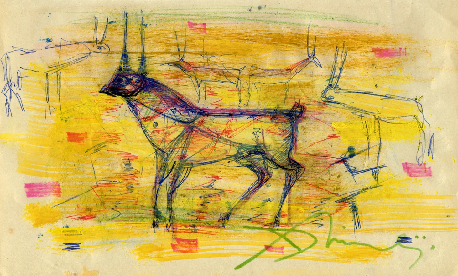 Animal