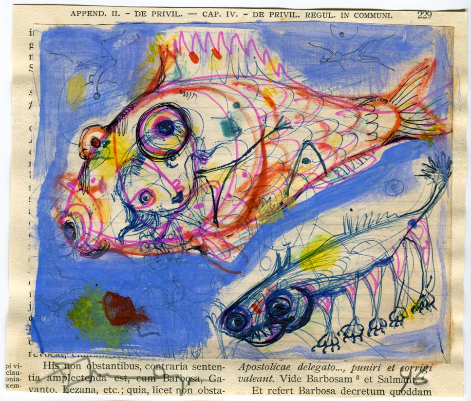Animal - Fish