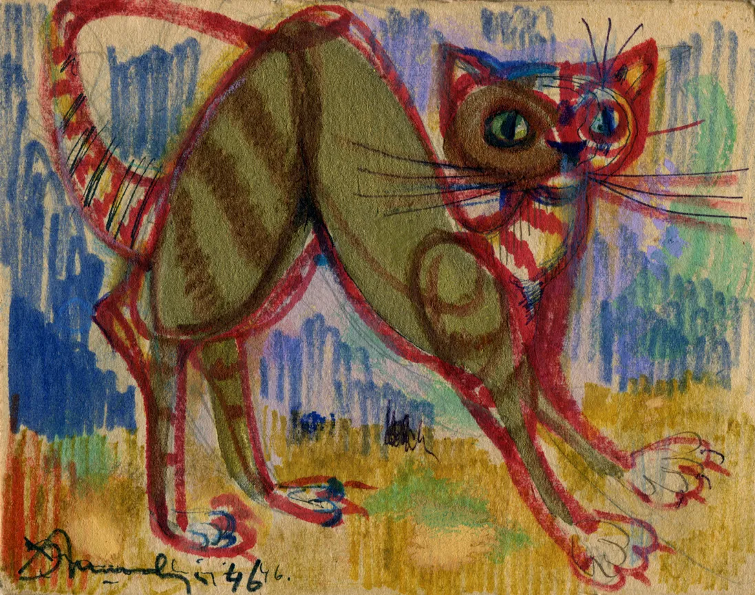 Animal - Cat