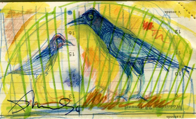 Animal - Bird