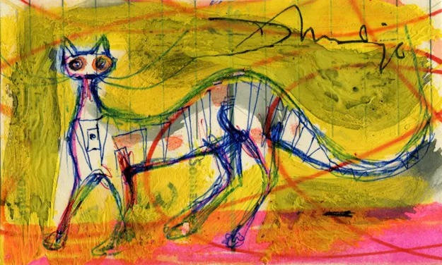 Animal - Cat
