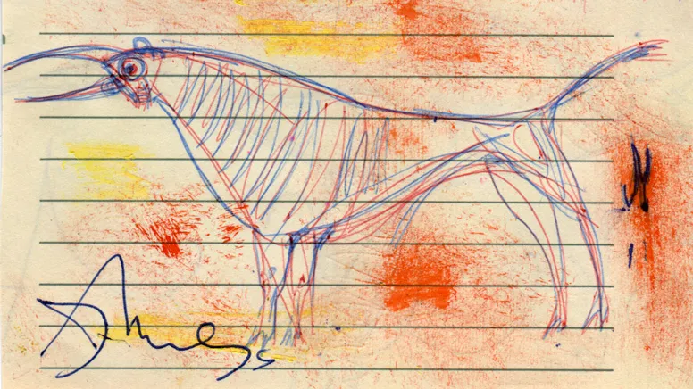 Animal - Bull
