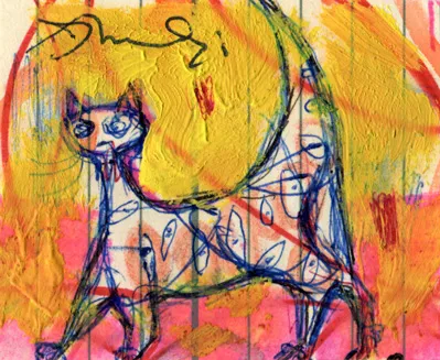 Animal - Cat