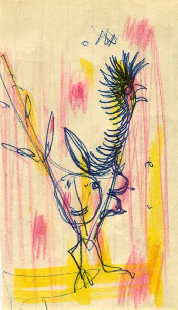 Animal - Bird - Hema