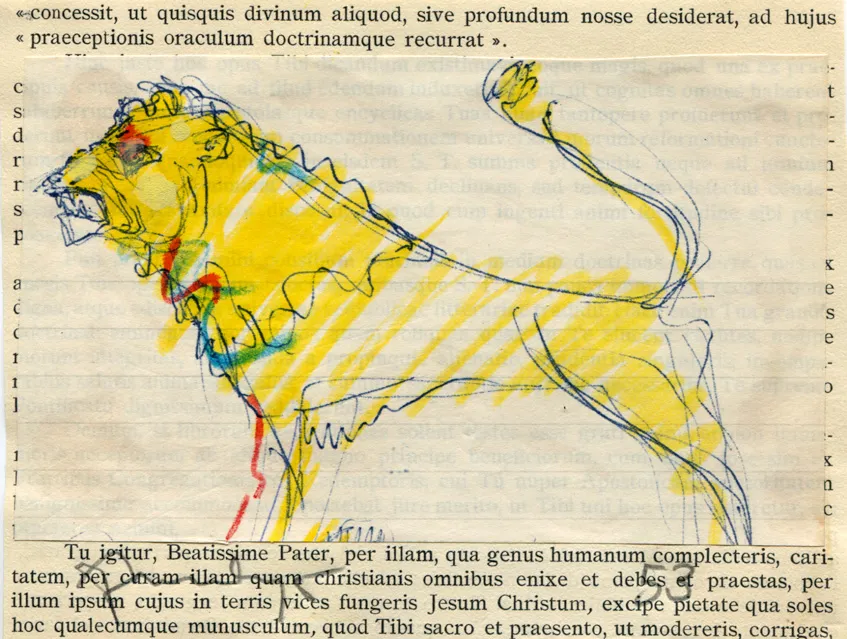 Animal - Circus - Dated - Lion - Signed